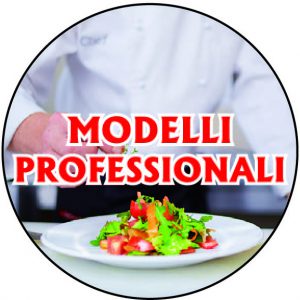 Modelli professionali