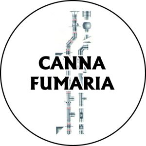 Canna fumaria